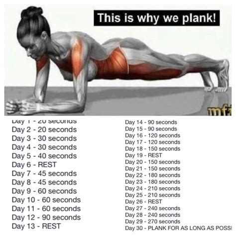 The plank is a static isometric exercise that conditions the stabilizing. . Average plank time by age